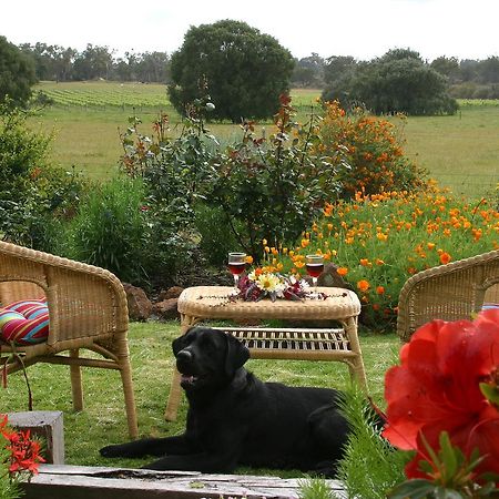 Silversprings Spa Retreat Pet Friendly Cottages And Glampings Metricup Exterior foto